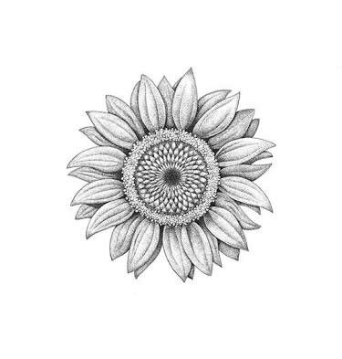 Sunflower tattoo sketch