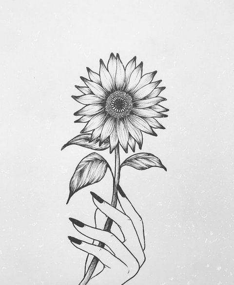 Sunflower tattoo sketch