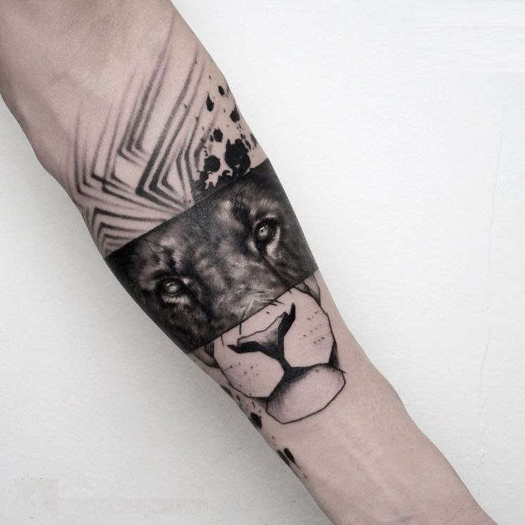 Tattoo of a lion on the forearm for men