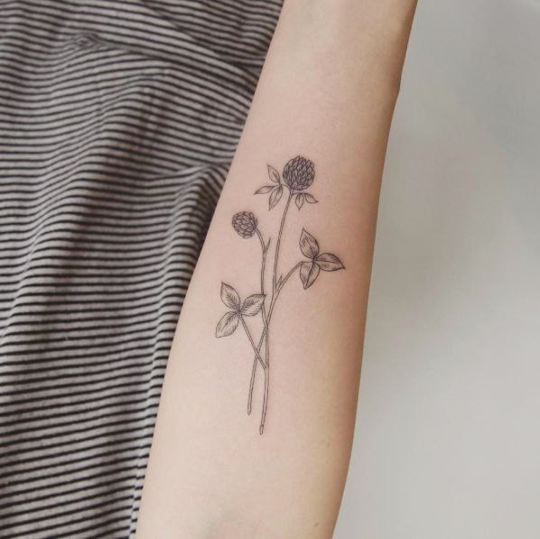 Tattoo of a clover on the arm for women