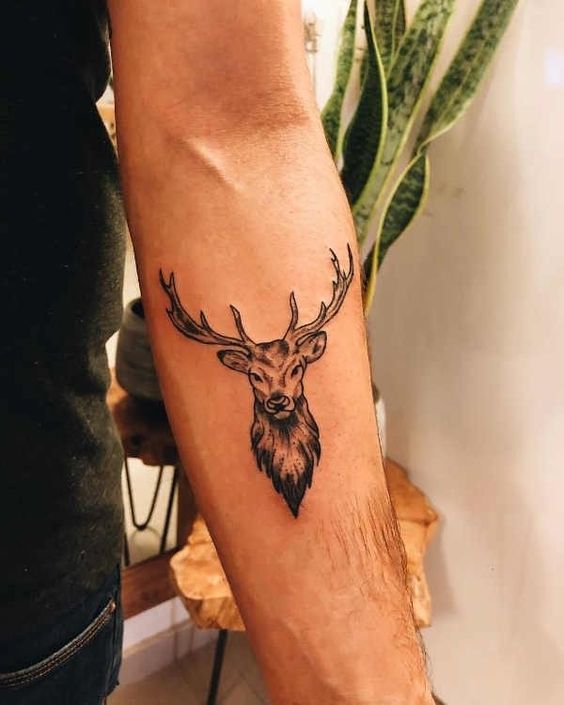 Tattoo of a deer on the forearm for men