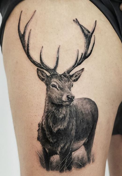 Tattoo of a deer on the hip for men