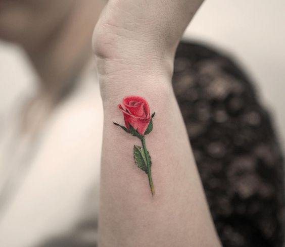 Colorful rose tattoo on the forearm for women