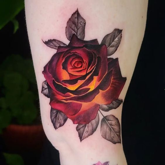 Large rose tattoo on the thigh for men