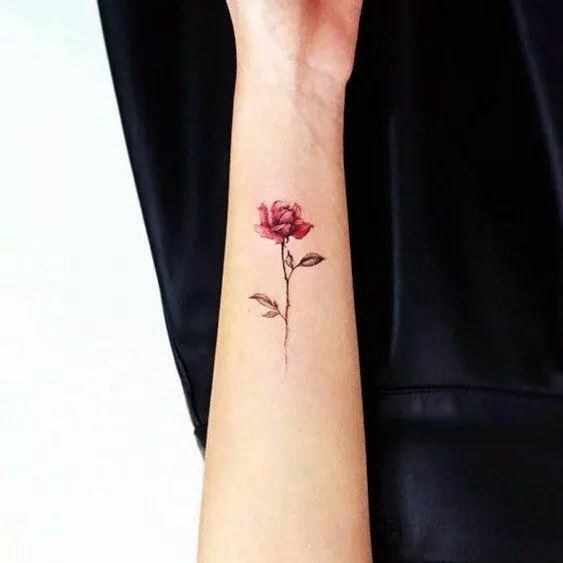 Colorful rose tattoo on the forearm for men