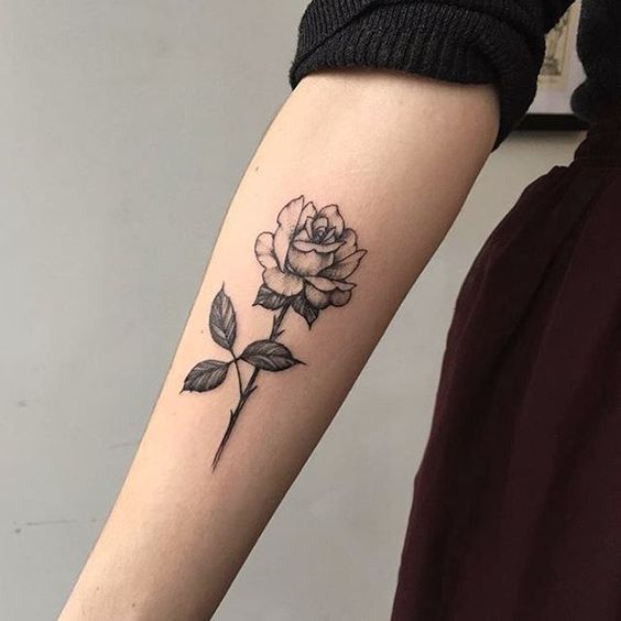 Rose tattoo on forearm for women