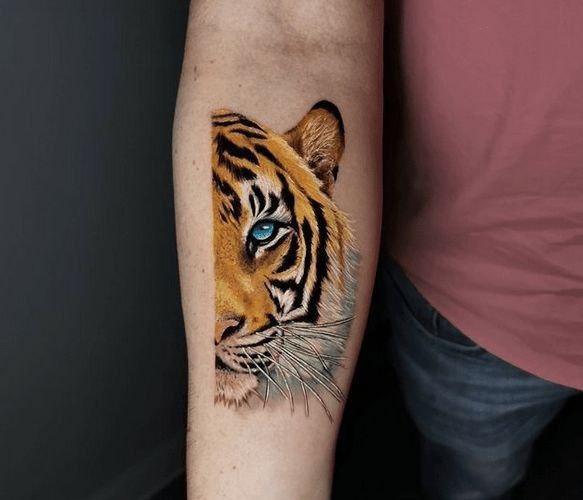 Color tattoo of a tiger on the forearm for men