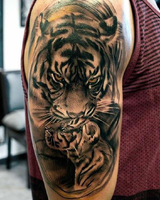 Color tattoo of two tigers on the shoulder for men