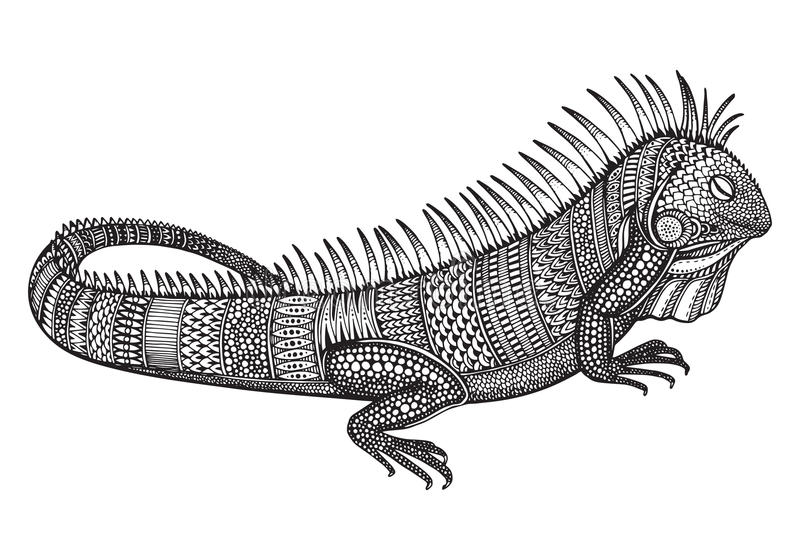 Sketch of an iguana tattoo