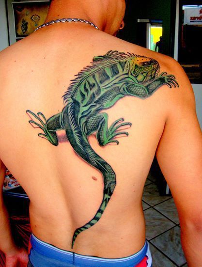 Tattoo of an iguana on the back for men