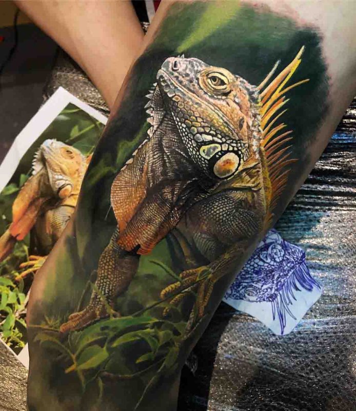 Tattoo of an iguana on the leg for men