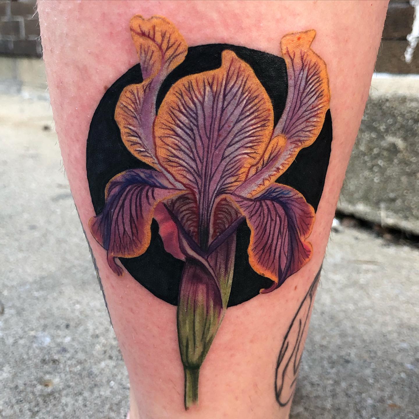 Color iris tattoo on the calf for women