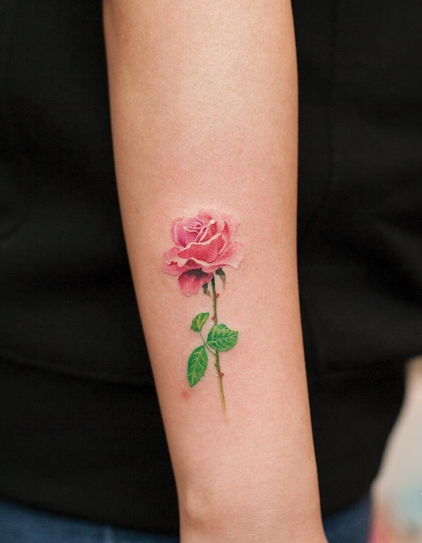 Colorful rose tattoo on the forearm for men