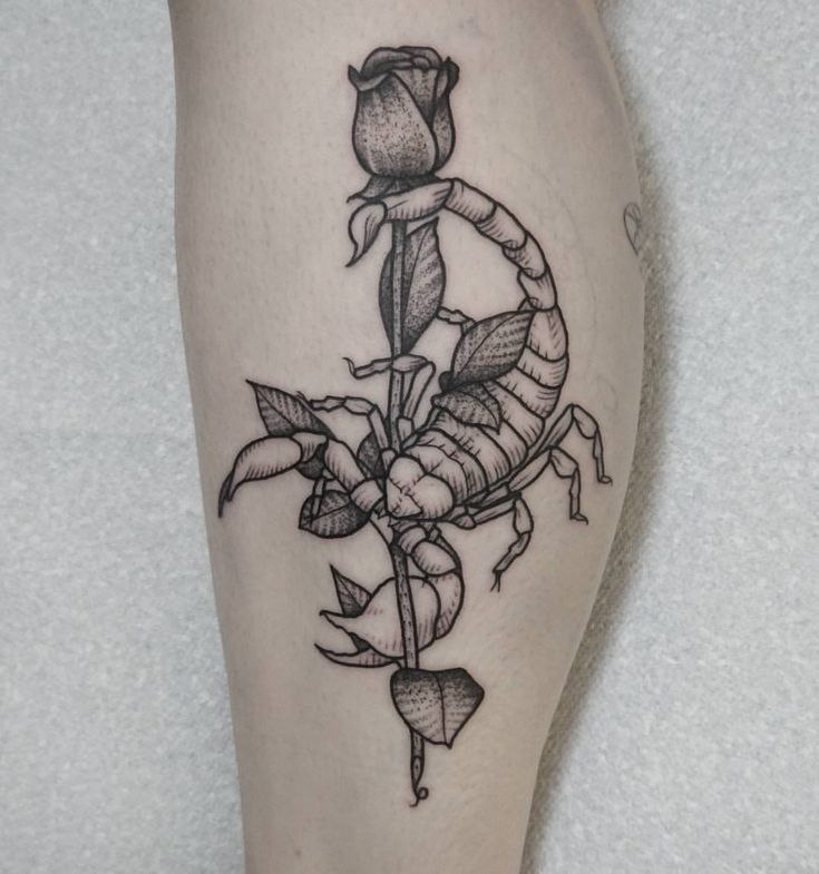 Tattoo of a scorpion on the shin for women