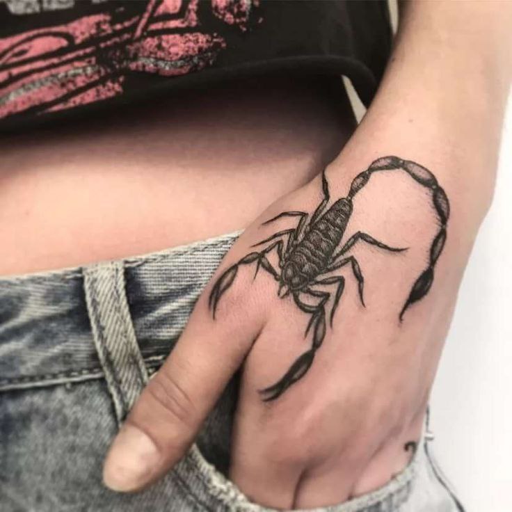 Scorpion tattoo on the hand for women