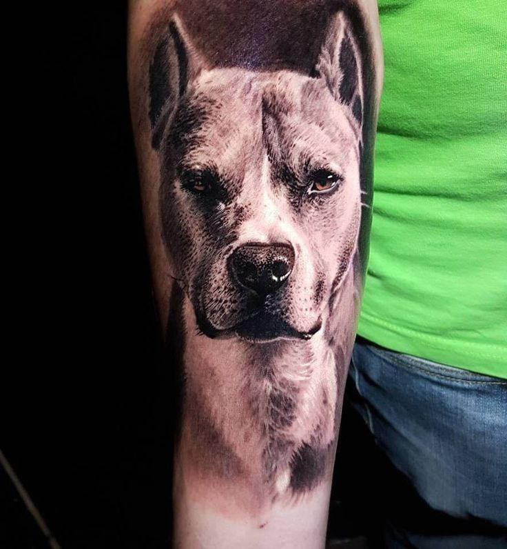 Tattoo of a dog on the arm for men