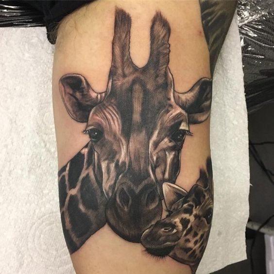 Tattoo of two giraffes on the shin for men