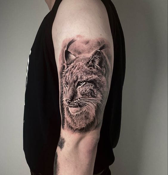 Tattoo of a lynx on the shoulder for men