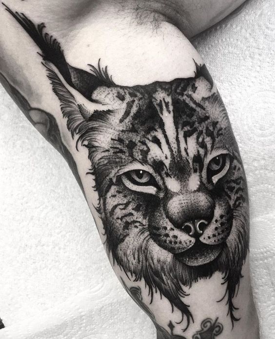 Large lynx tattoo on the shoulder for men