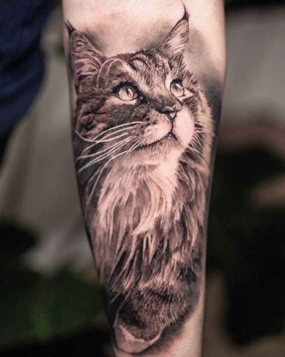 Lynx tattoo on the forearm for men