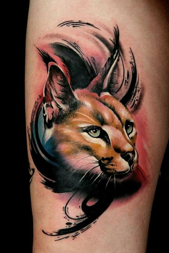 Tattoo of a colored lynx on the shoulder for men