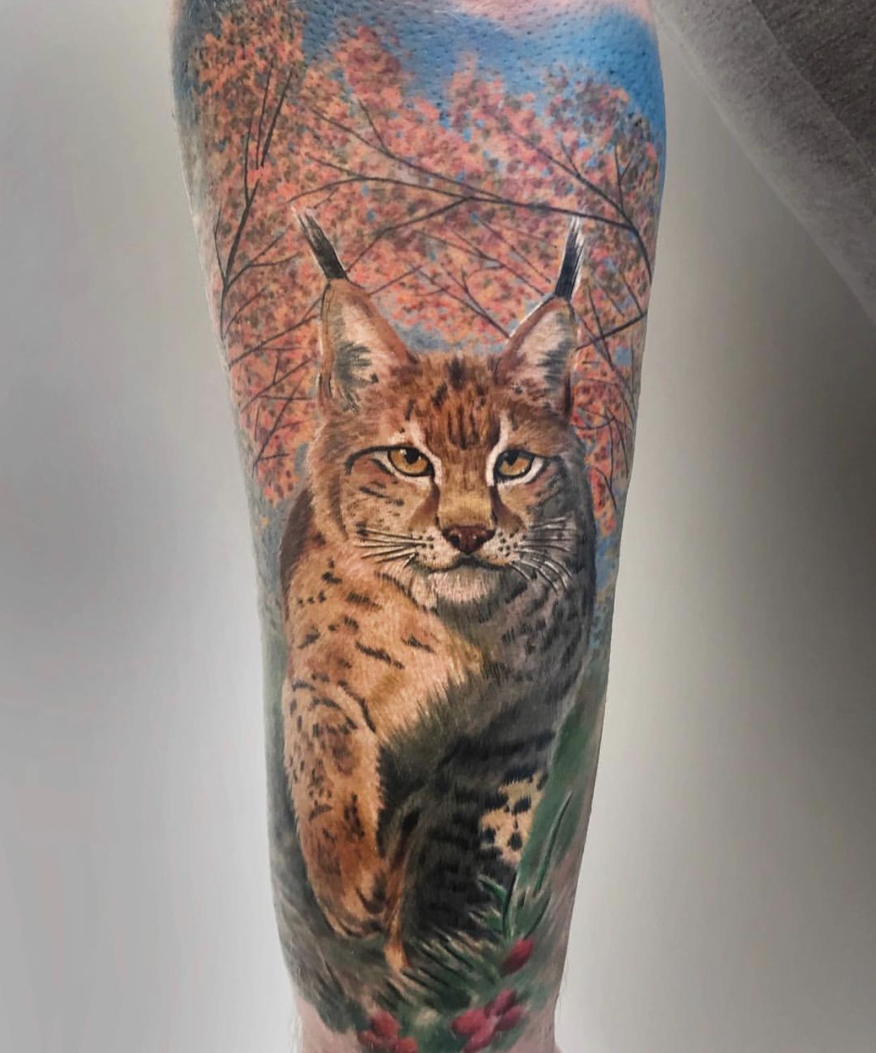 Tattoo of a colored lynx on the arm for men