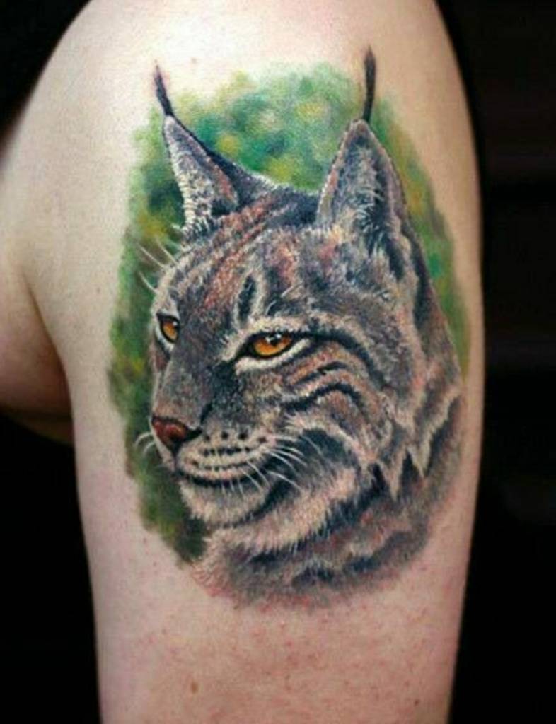 Tattoo of a colored lynx on the shoulder for men