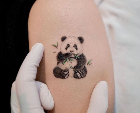 Panda tattoo on the shoulder for men