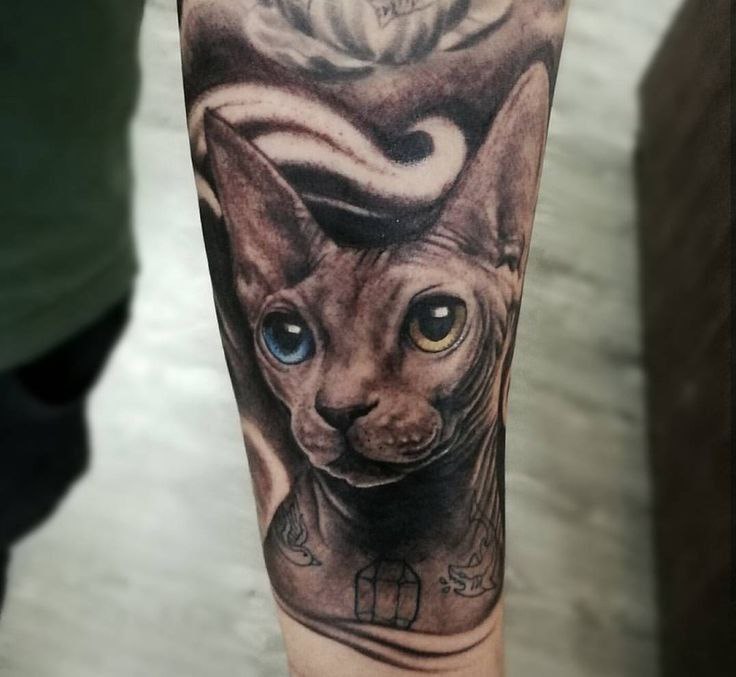 Tattoo of a sphinx on the arm for men