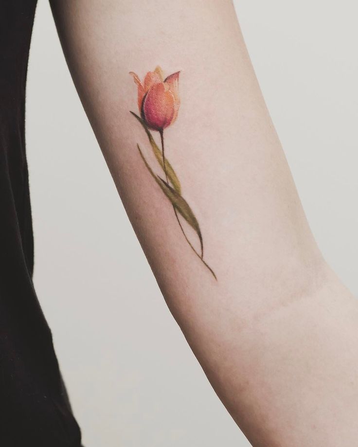 Color tattoo of a tulip on the shoulder for men