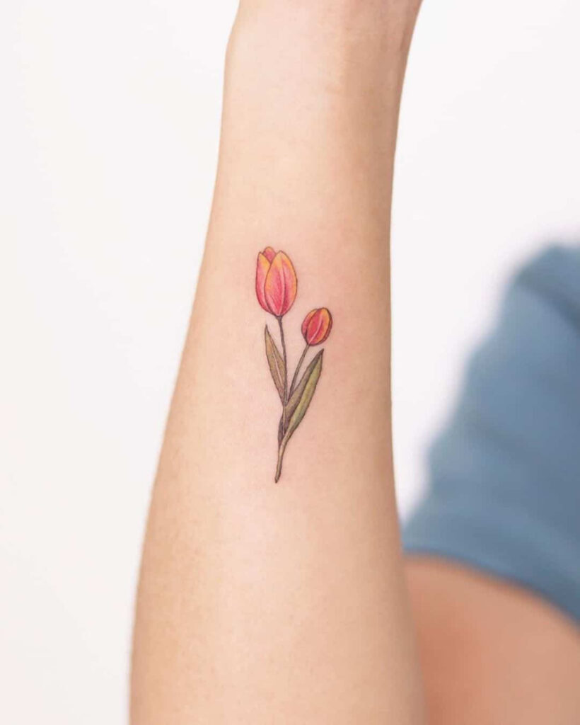 Color tattoo of a tulip on the forearm for women