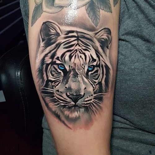 Tattoo of a tiger on the shoulder for women