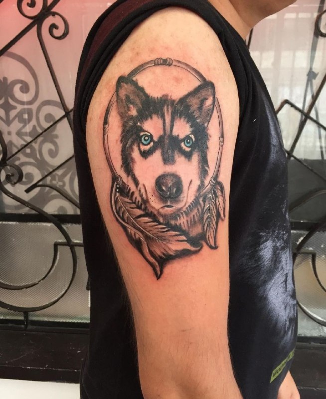 Husky tattoo on the shoulder for men