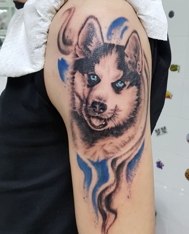 Husky tattoo on the shoulder for men