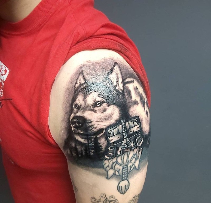 Husky tattoo on the shoulder for men