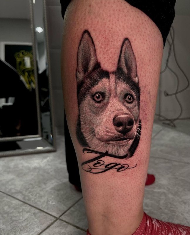 Husky tattoo on the shin for men