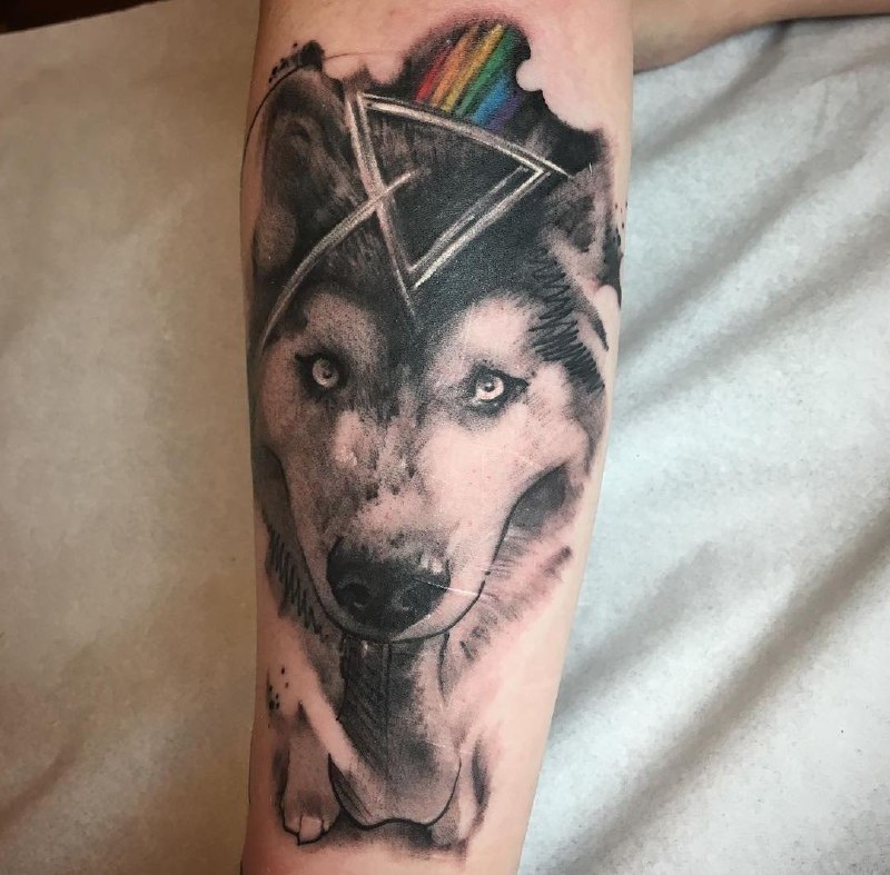 Husky tattoo on the shin for men