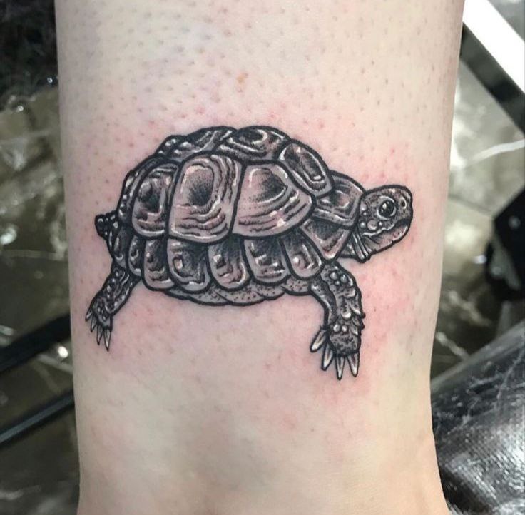 Turtle tattoo on the shin for women