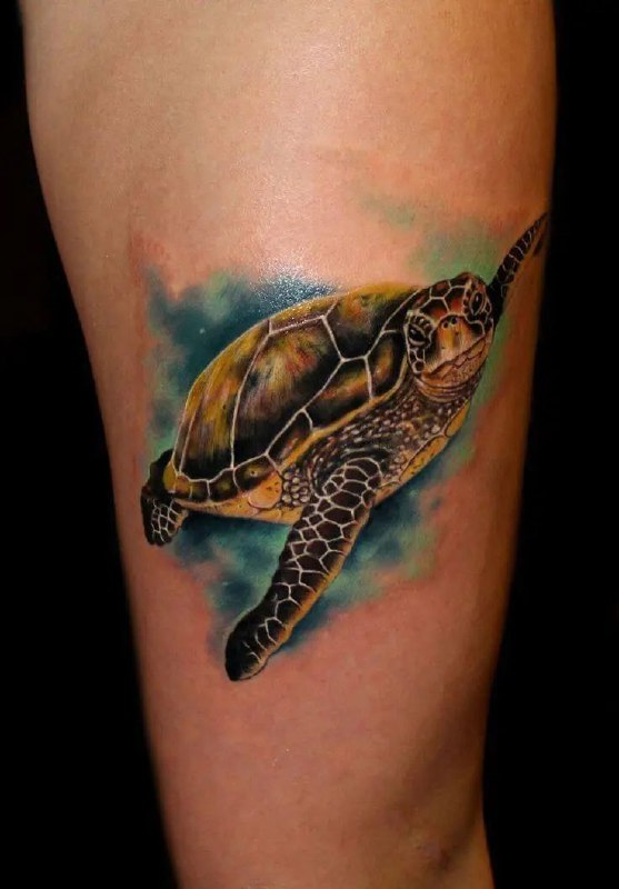 Tattoo of a turtle on the arm for women