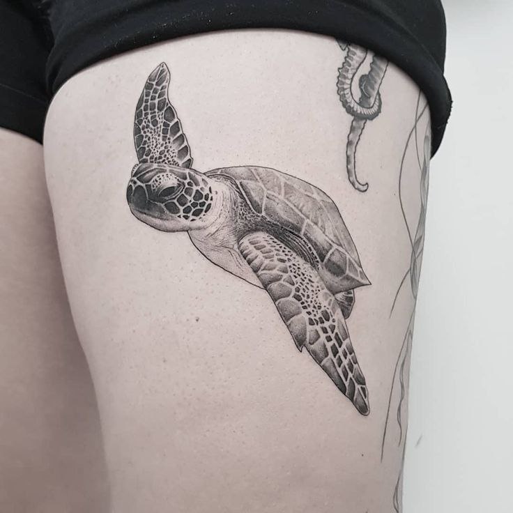 Turtle tattoo on the hip for women