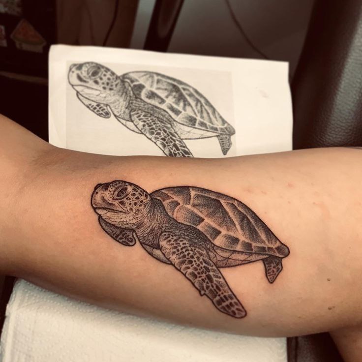 Turtle tattoo on the arm for women