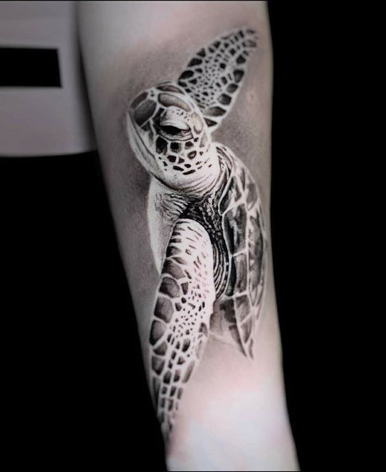 Turtle tattoo on the forearm for men