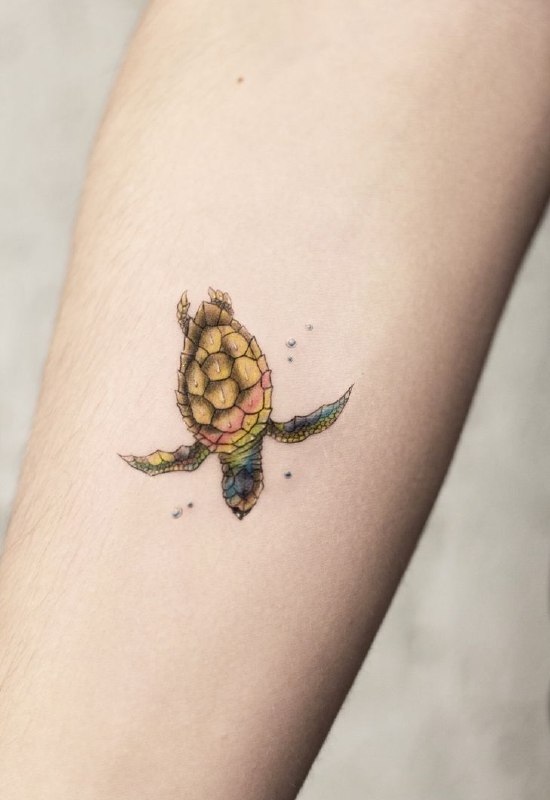 Turtle tattoo on the forearm for men