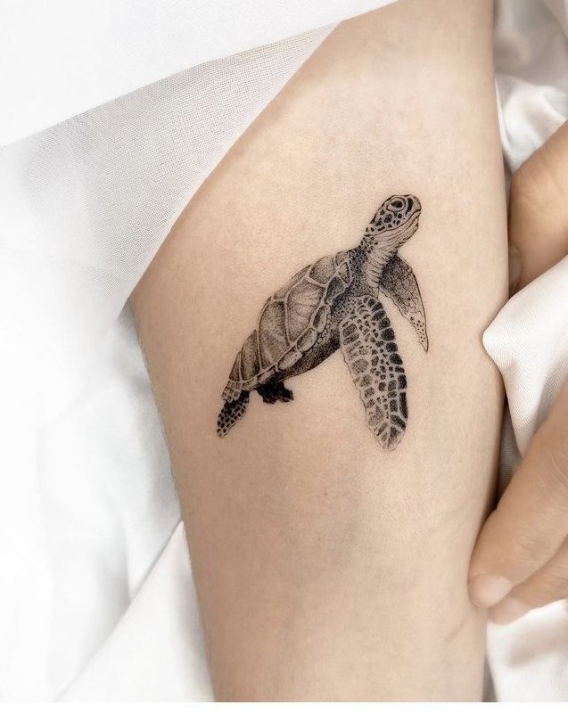 Turtle tattoo on the shoulder for women