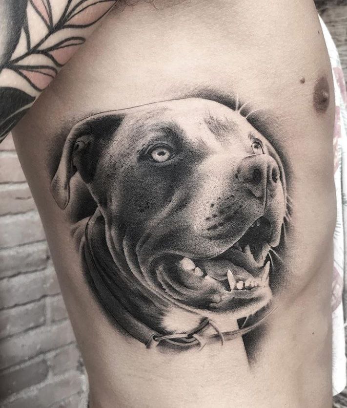 Pit bull tattoo on the side for men