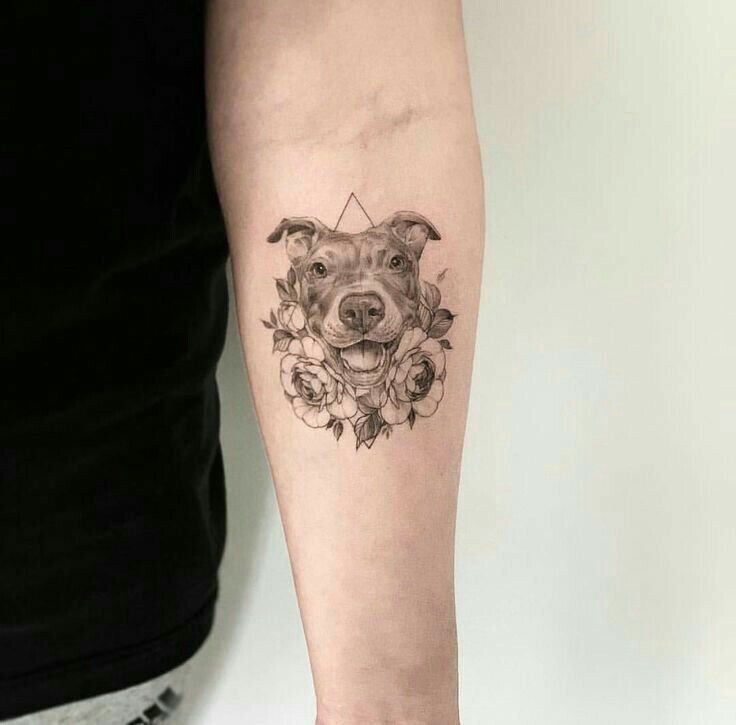 Pit bull tattoo on the forearm for men