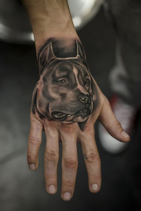 Pit bull tattoo on the hand for men