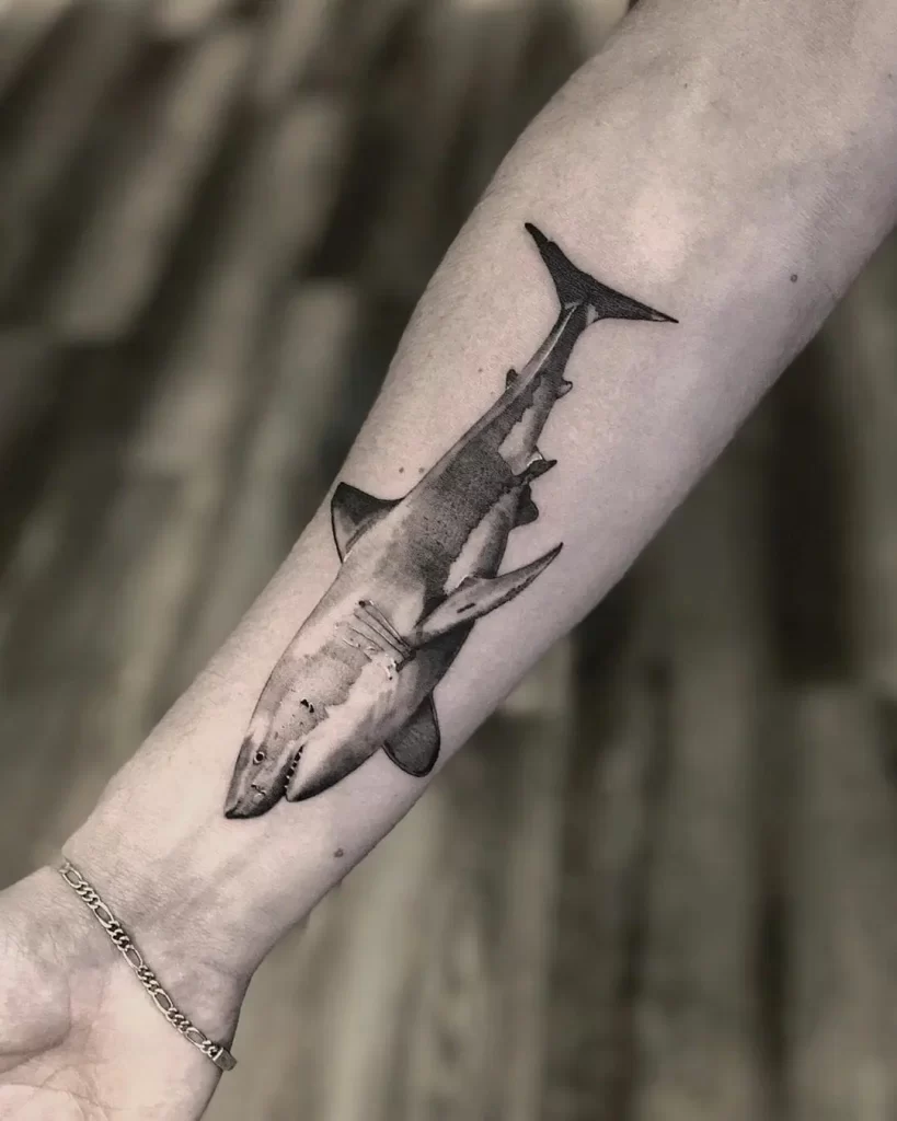 Shark tattoo on forearm for men