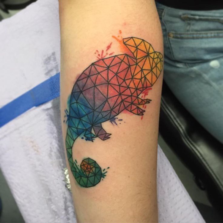 Tattoo of a colored chameleon on the forearm for women