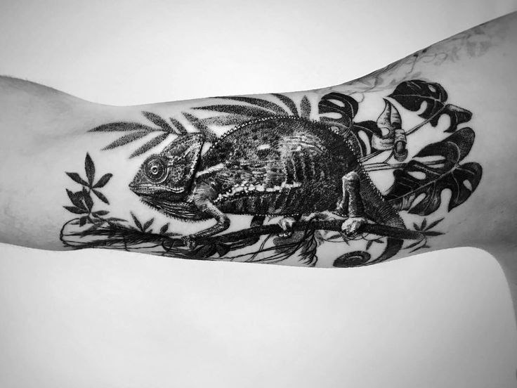 Chameleon tattoo on the arm for men